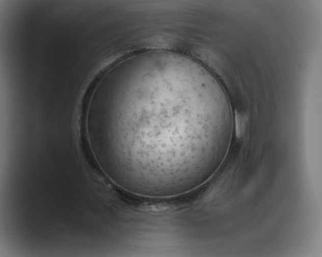 X0000089370675200706291248