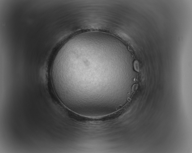 X0000089370680200706291247