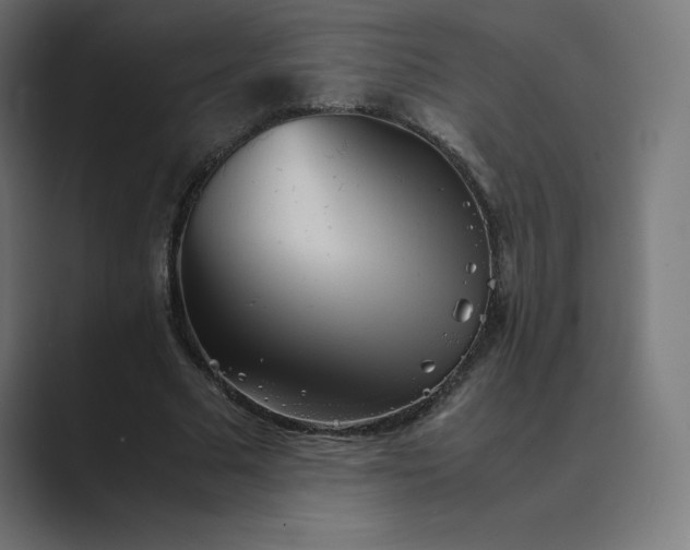 X0000089370681200706291247