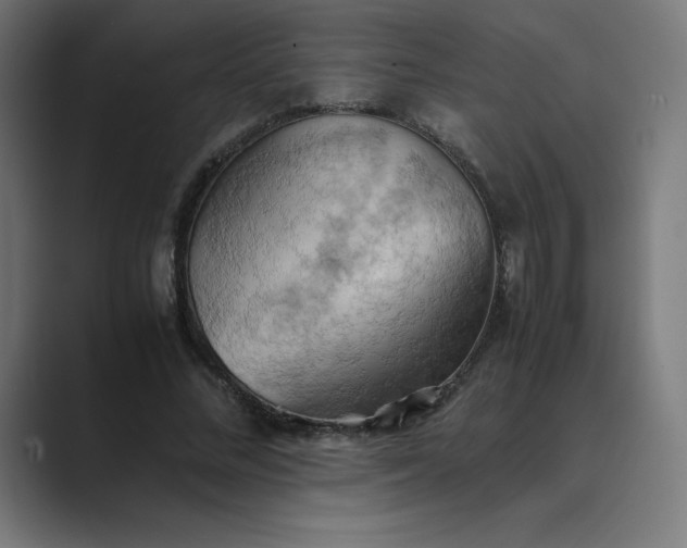 X0000089370684200706291247