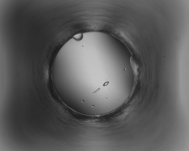 X0000089370685200706291247