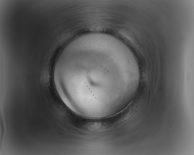X0000089370687200706291247