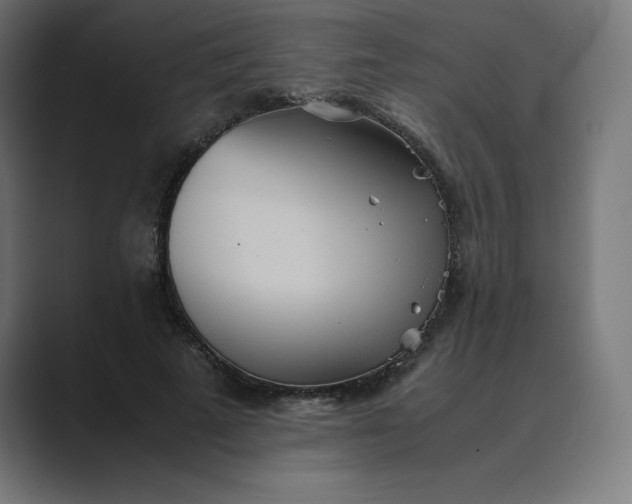 X0000089370689200706291247