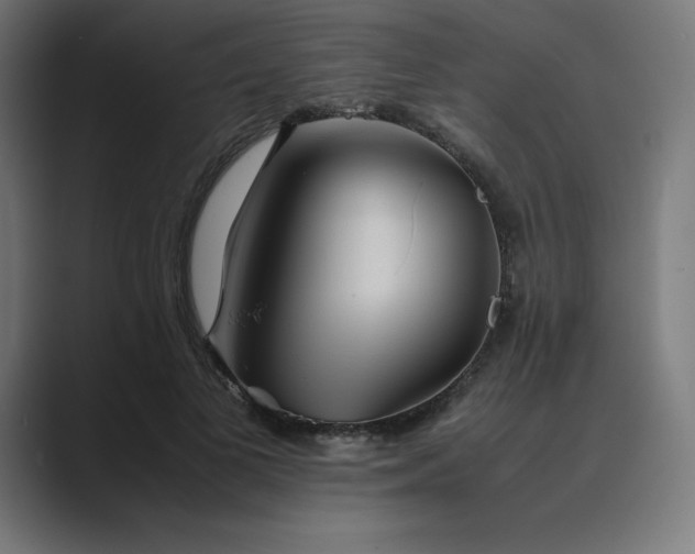 X0000089370693200706291247