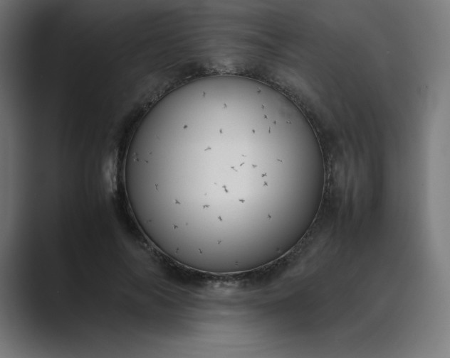 X0000089370694200706291247