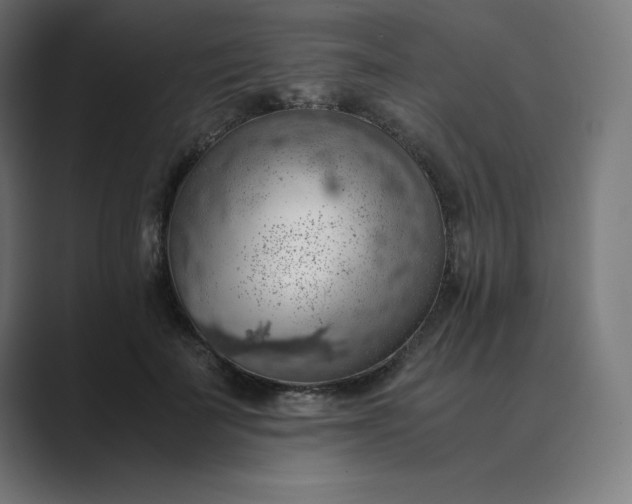 X0000089370699200706291247