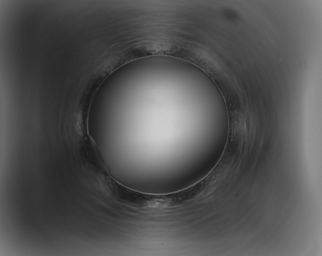 X0000089370700200706291247