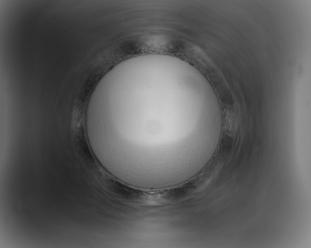 X0000089370701200706291247