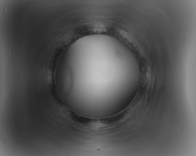 X0000089370704200706291247