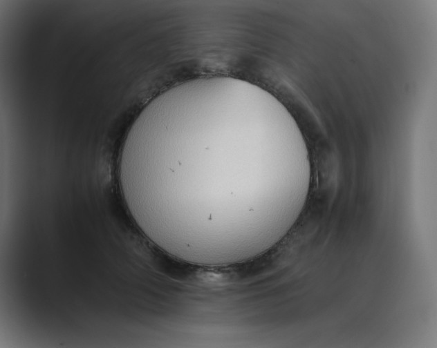 X0000089370706200706291247
