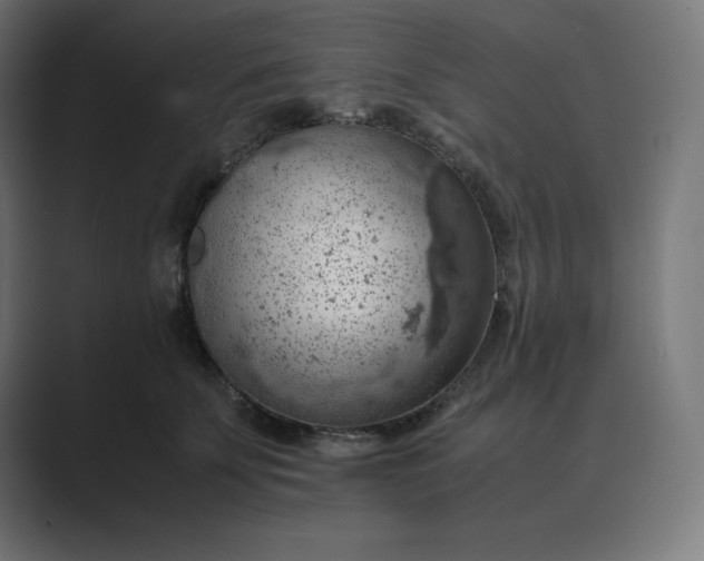 X0000089370707200706291247
