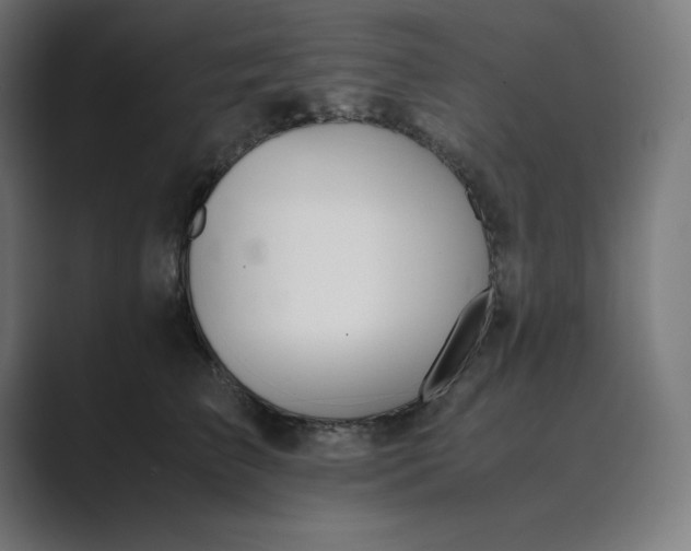 X0000089370709200706291247