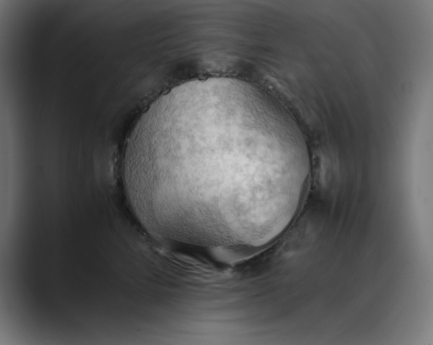 X0000089370712200706291247