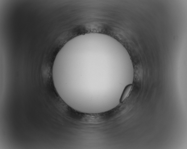 X0000089370713200706291247