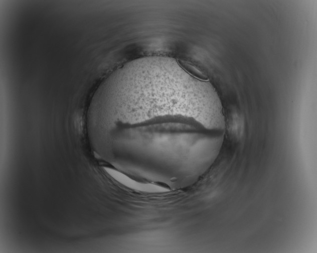 X0000089370715200706291247
