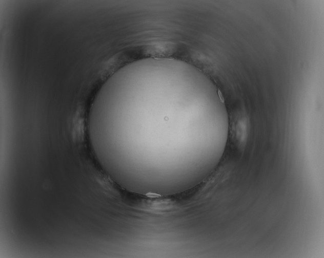 X0000089370716200706291247