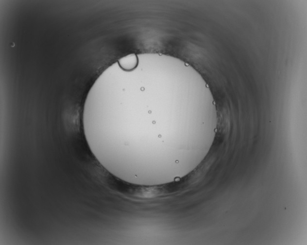 X0000089370717200706291247