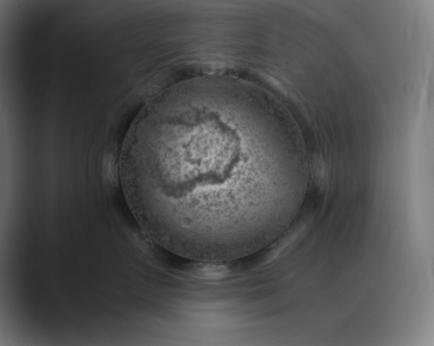 X0000089370719200706291247