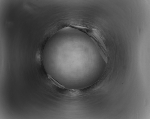 X0000089370720200706291247
