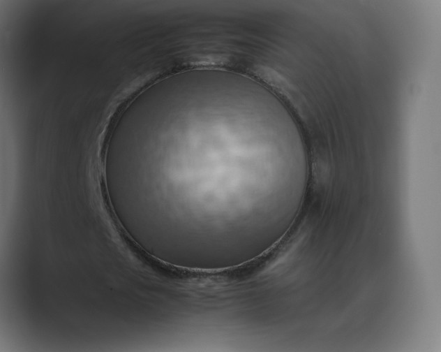 X0000089370721200706291246