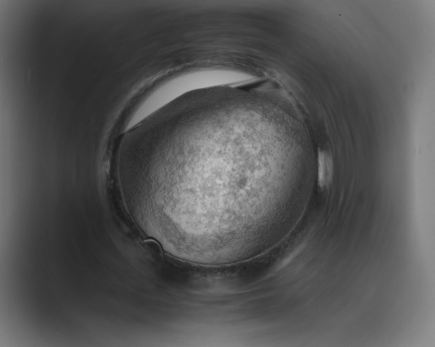 X0000089370723200706291246