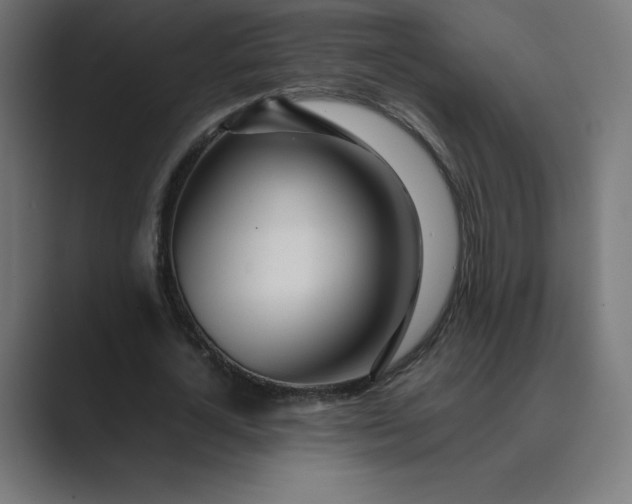 X0000089370724200706291246