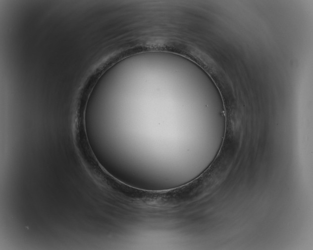 X0000089370728200706291247