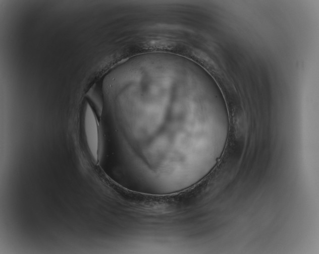 X0000089370729200706291247