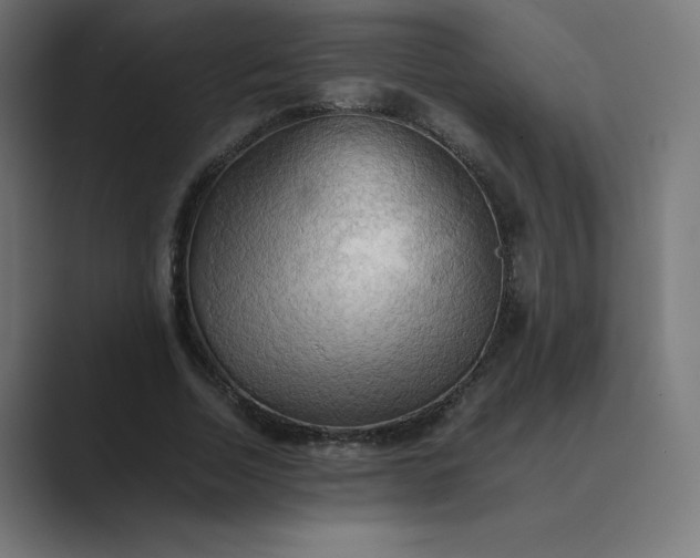 X0000089370730200706291247