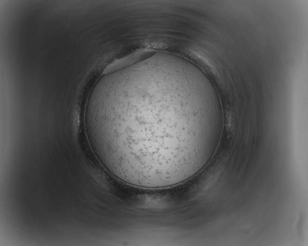 X0000089370733200706291247