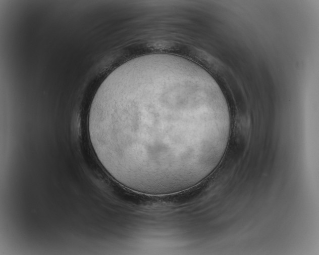 X0000089370734200706291247