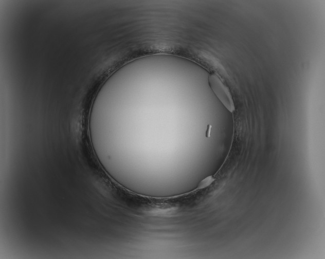 X0000089370736200706291247