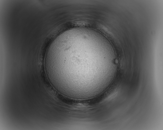 X0000089370737200706291247