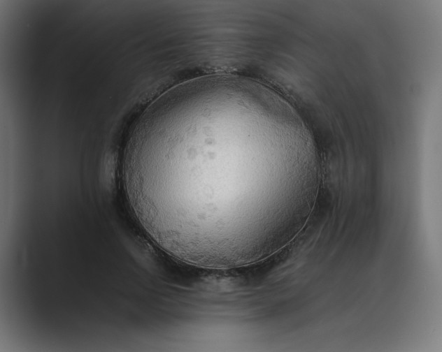 X0000089370742200706291247