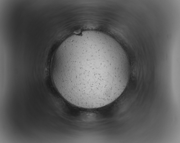 X0000089370743200706291247