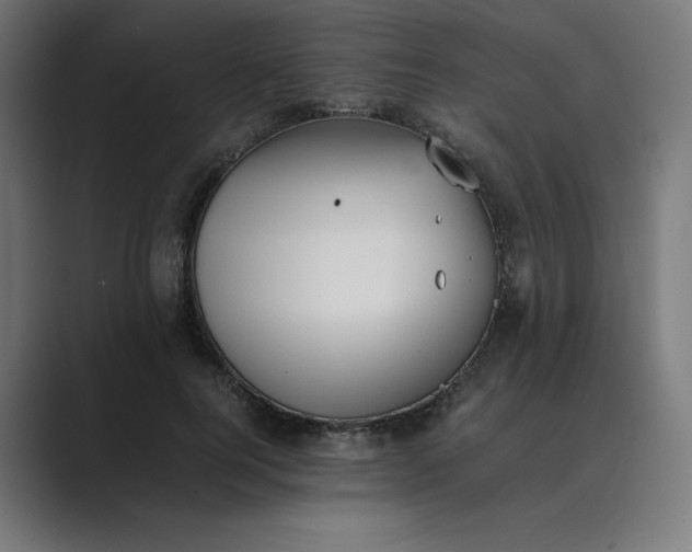 X0000089370744200706291247