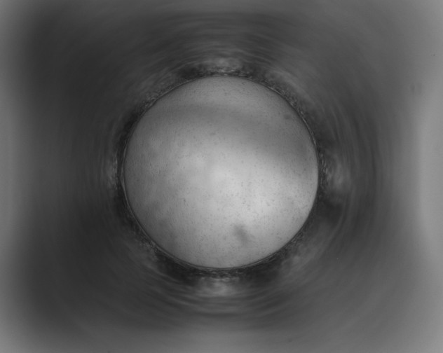 X0000089370745200706291247