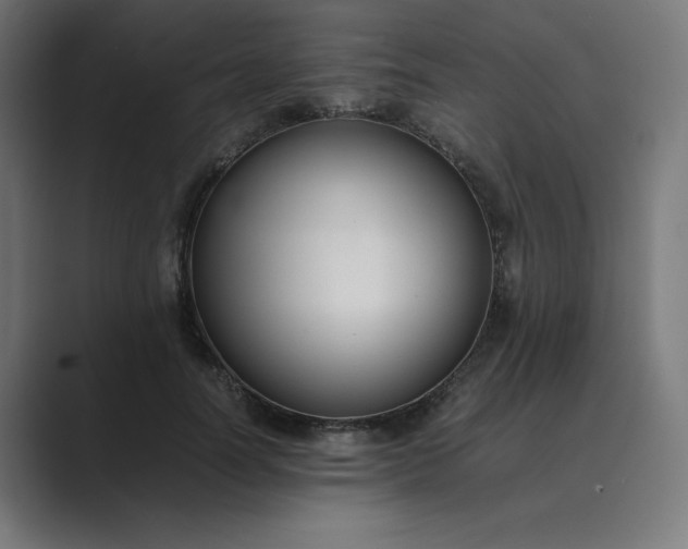 X0000089370746200706291247