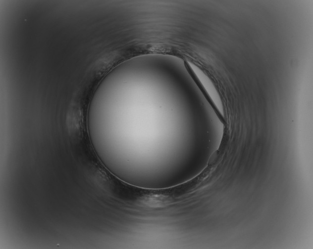 X0000089370748200706291247