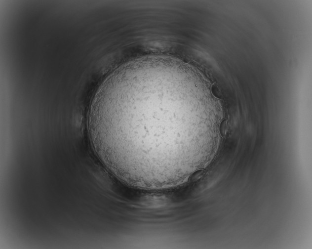 X0000089370749200706291247