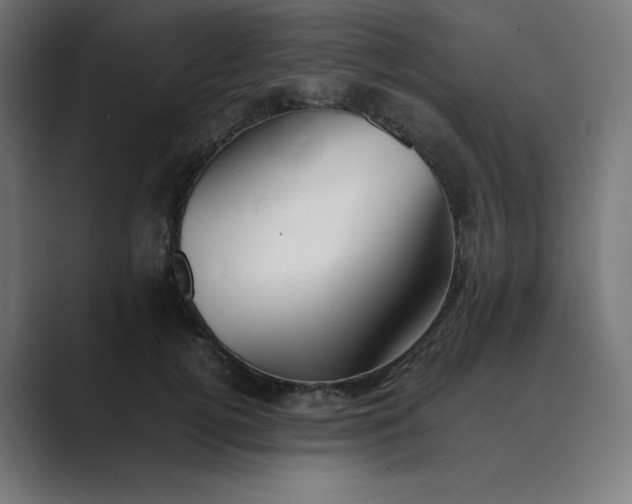 X0000089370752200706291247