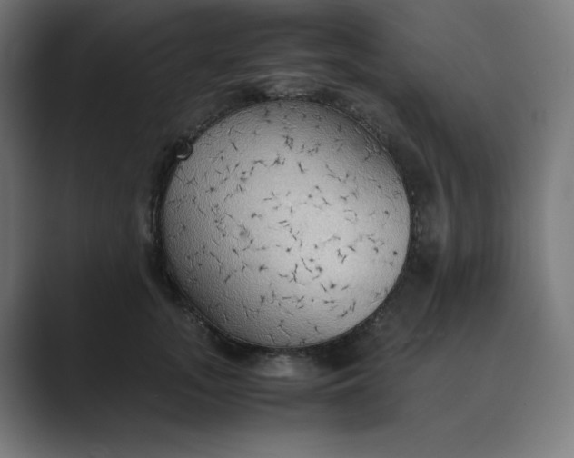 X0000089370755200706291247