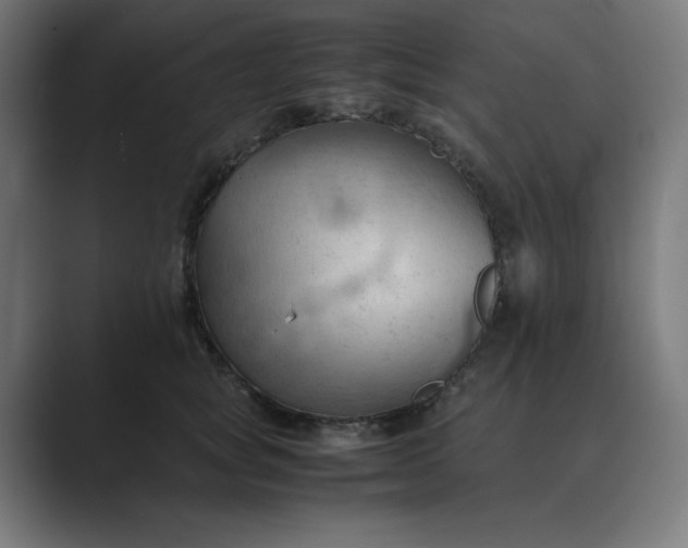 X0000089370757200706291247