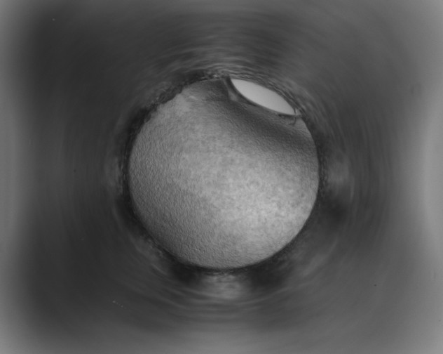 X0000089370759200706291247
