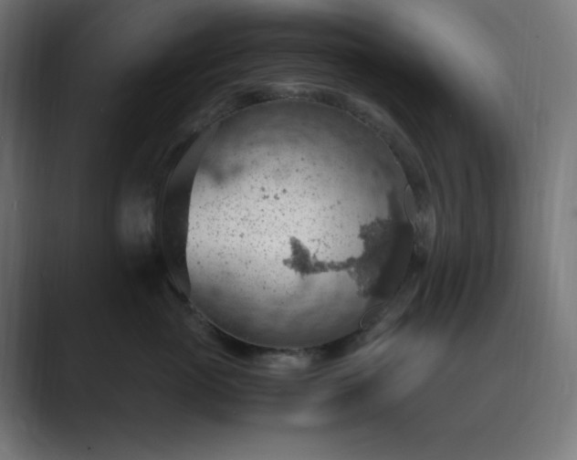 X0000089370765200706291247