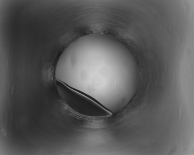 X0000089370768200706291247