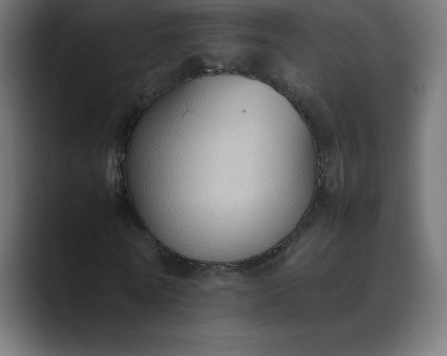 X0000089370770200706291246