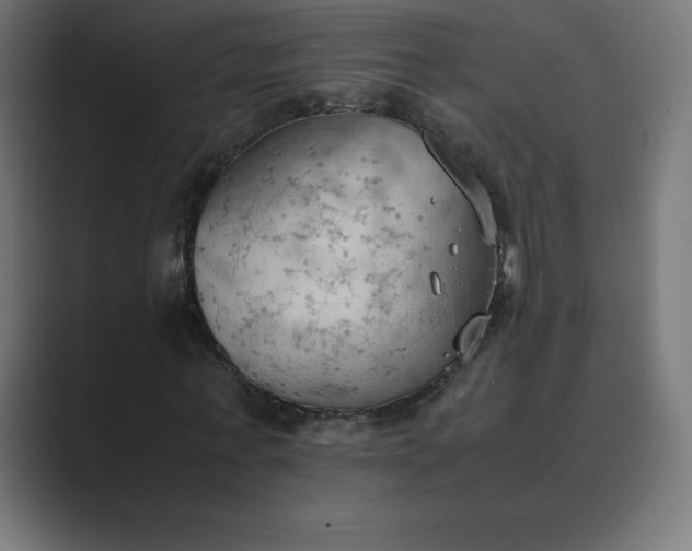 X0000089370771200706291246