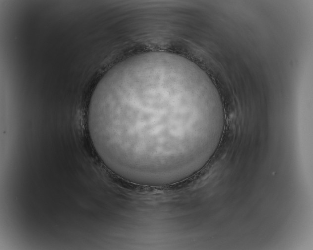 X0000089370772200706291246