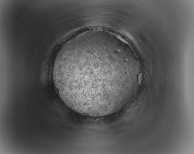 X0000089370775200706291246